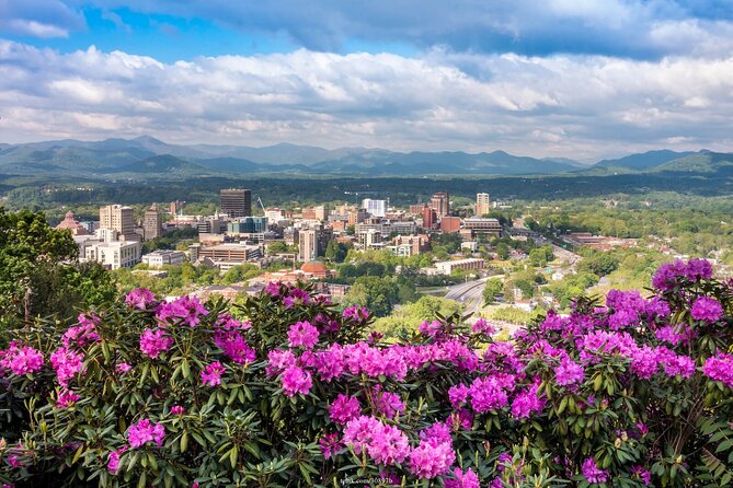 The Best of Asheville: Private 2.5-hour Walking Tour - Personalized Local Tips and the Guide’s Role