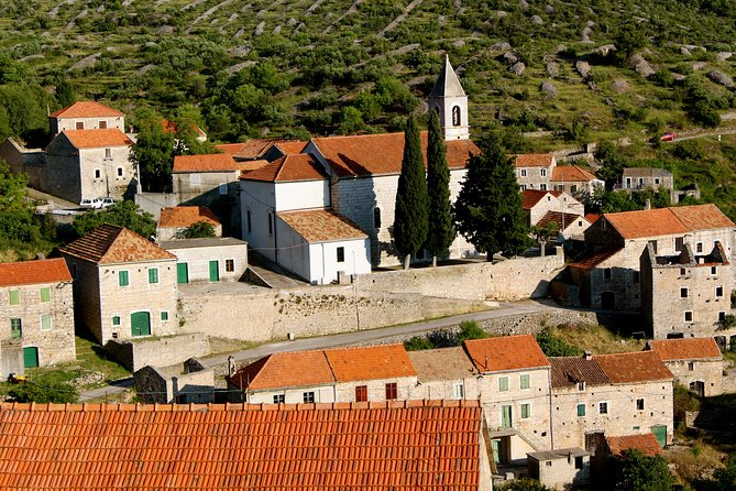 The Best of Hvar Small Group with Wine Tasting and Local meal - Wine Tasting at Top Hvar Wineries