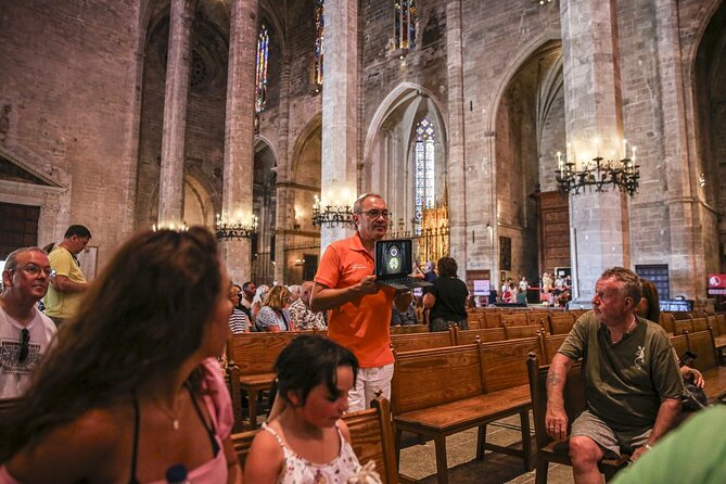 The best of Palma: walking tour, boat trip and Cathedral visit - A Relaxing Boat Trip Along the Bay