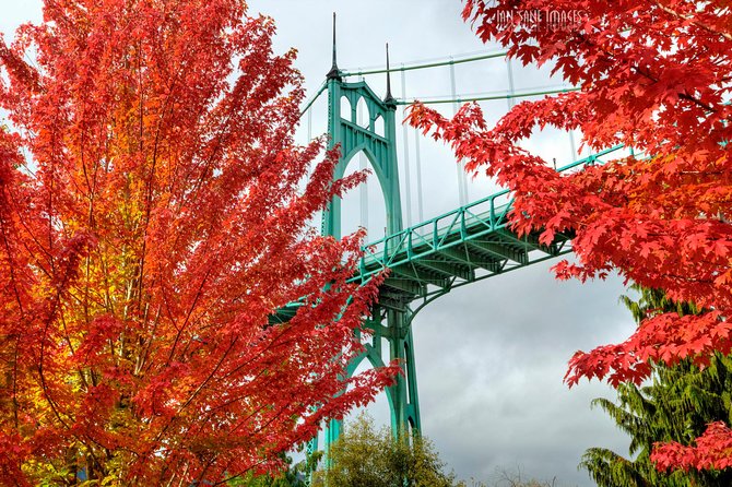'The Best of Portland' City Tour: Small-Group Sightseeing Tour - Explore Portland in Style with the Small-Group City Tour
