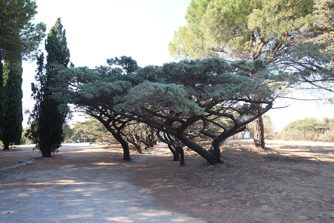 The Best of Rhodes & Lindos: Full Island Tour (Small Group) - Unpacking the Route and Highlights