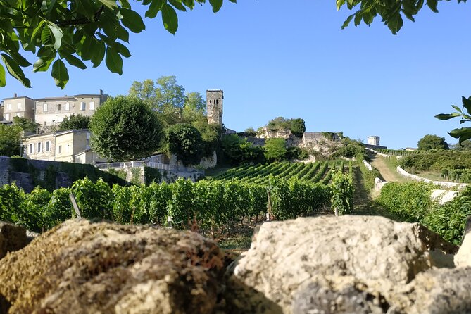 The Best Of Saint-Emilion : City Highlights walking tour - Outdoor Visit to Ermitage or Chapel of the Trinity