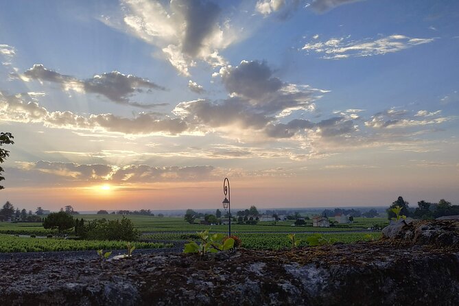 The Best Of Saint-Emilion : City Highlights walking tour - Practical Details: Meeting Point, Group Size, and Accessibility