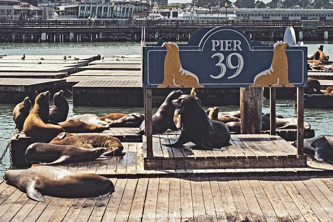 The Best of San Francisco: Private Half-Day Walking Tour - Discovering North Beach and Its Italian Heritage