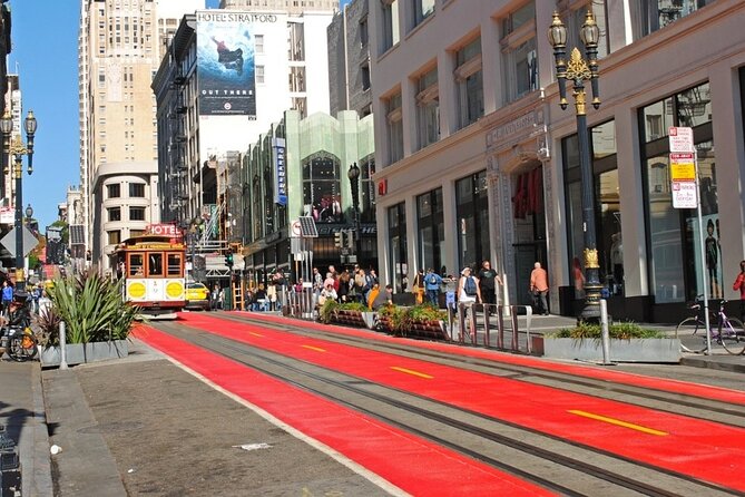 The Best of San Francisco: Private Half-Day Walking Tour - Golden Views and Seals at Fisherman’s Wharf