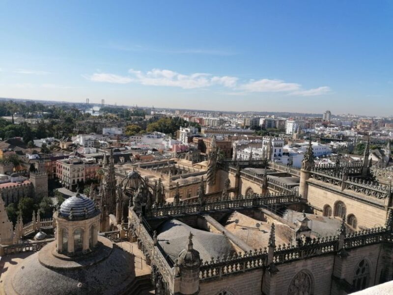 The Best of Seville: Private 2,5 Hour Walking Tour - Relaxing at Maria Luisa Park and Plaza de España