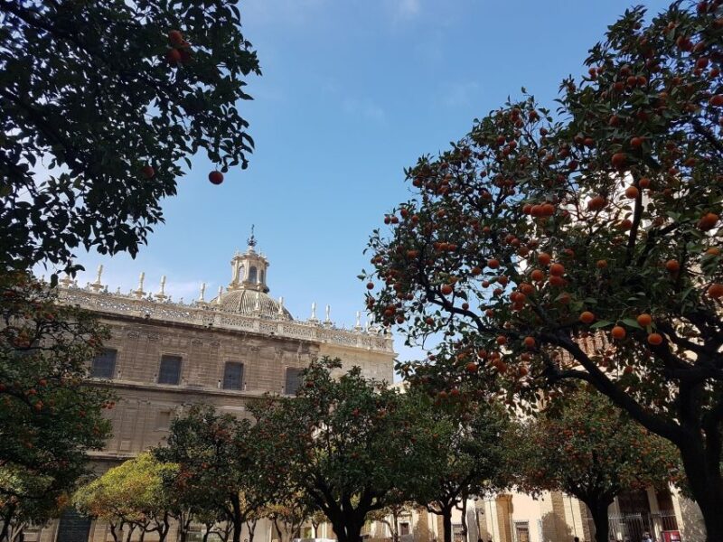 The Best of Seville: Private 2,5 Hour Walking Tour - Practical Details and Logistics