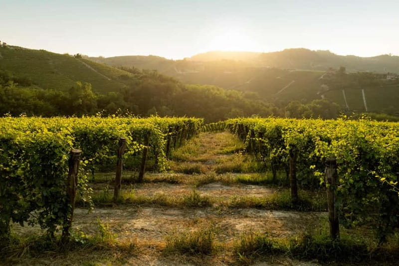 The Best of the Langhe: Wine Tasting & Traditional Meal - The Traditional Piedmontese Meal at Lostu