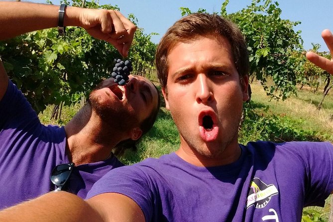 The Best of Tuscany in 3 Days - Day 3: Tuscan Countryside and Wine Tasting in the Chianti Region