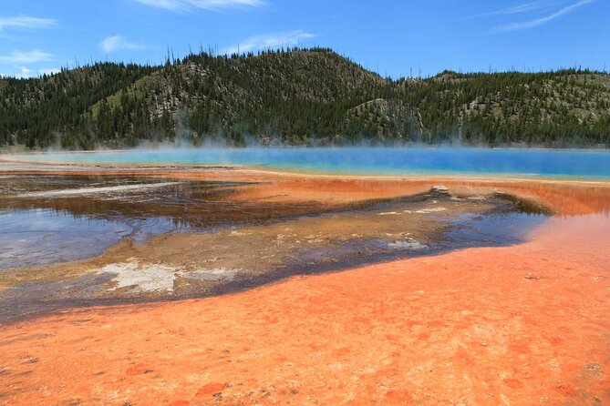 The Best of Yellowstone - Nat'l Park Day Tour From Cody - Private - Key Points