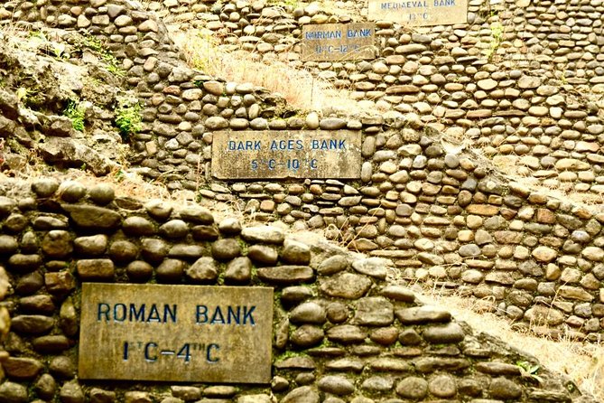 The Best of York on Foot in a Small Group - The Value and Limitations