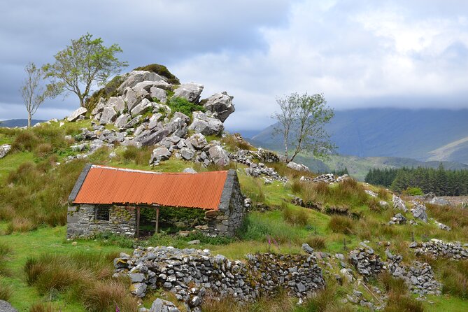 The Best Two Day Tours in Ireland: The Ring of Kerry and Dingle Slea Head Tours - Why Choose This Tour?