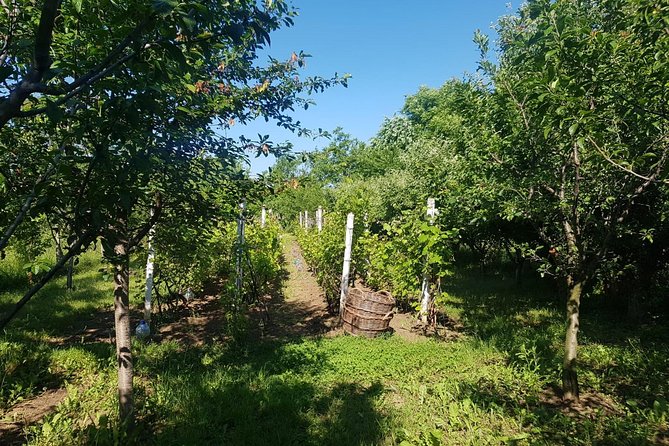 The Biggest Salt Mine in Europe and the Carpathian Authentic Villages - Visiting the Slanic Salt Museum and Salt Mine