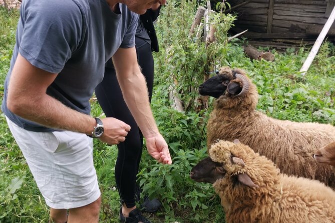 The Biggest Salt Mine in Europe and the Carpathian Authentic Villages - Flexibility with Cancellation and Weather Considerations
