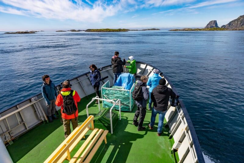 The Bird Safari Tour - The Bird Safari Tour: An Excursion into Norway’s Fjords and Bird Colonies