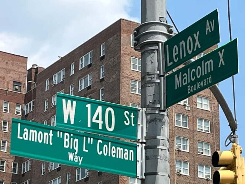 The Birthplace of Hip Hop Bus Tour - The Significance of Sedgwick Avenue in the Bronx