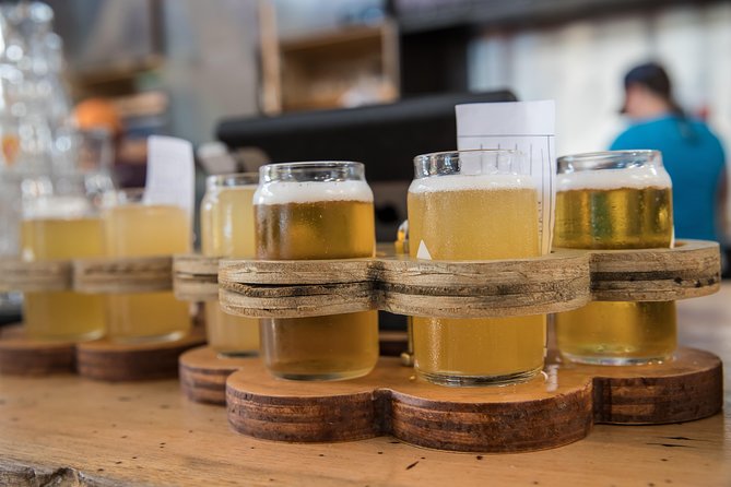 The Brew Bus: Austin Brewery Tour with Live Band - The Guides and Musicians: Making the Tour Special