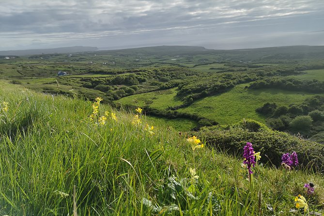 The Burren and Cliffs of Moher Full Day Private Tour from Galway - Flaggy Shore and Connemara Mountain Views