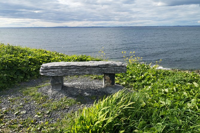 The Burren and Cliffs of Moher Full Day Private Tour from Galway - The Cliffs of Moher: One of Ireland’s Most Famous Landmarks