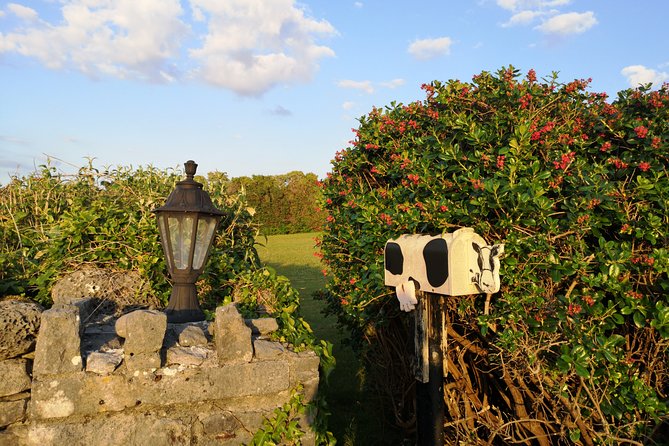 The Burren and Cliffs of Moher Full Day Private Tour from Galway - Flexibility for Hikes, Pub Trips, and Additional Attractions