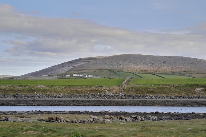 The Burren and Cliffs of Moher Full Day Private Tour from Galway - Practical Details: Pickup, Duration, and What’s Included