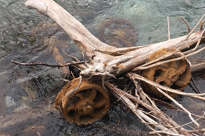 The Canmore History Tour - 1.5H Walk - Practical Details: Group Size, Accessibility, and Weather