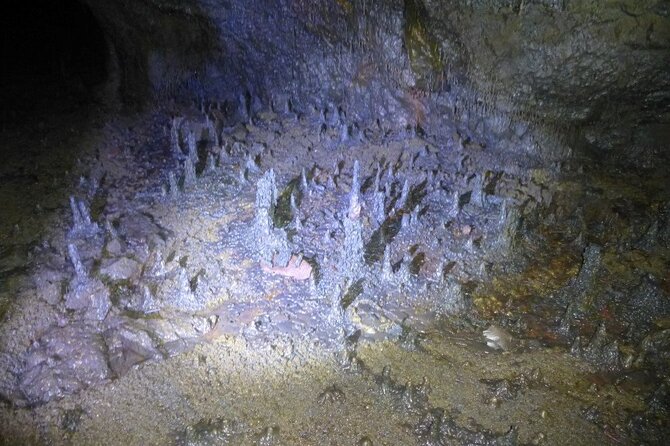 The Cave Explorer - Tour Schedule and Year-Round Availability