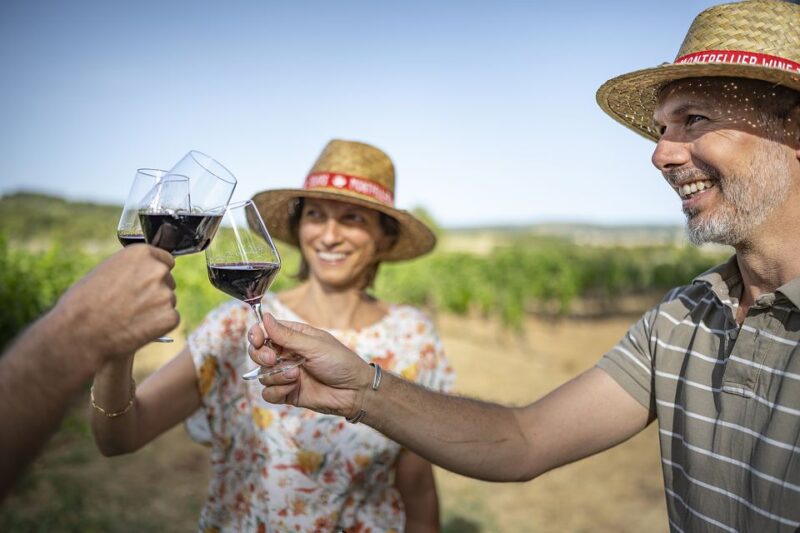 The Châteaux of Grès de Montpellier & Wine Tasting - Guides and Their Expertise