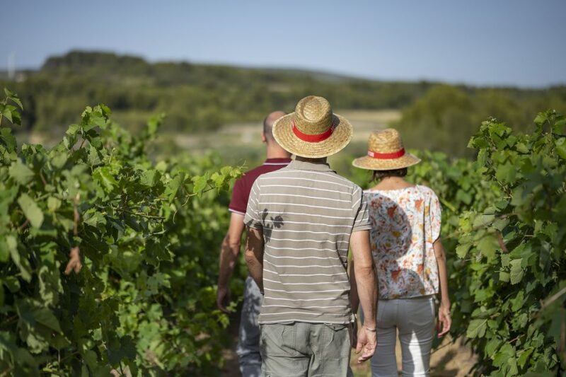 The Châteaux of Grès de Montpellier & Wine Tasting - The Atmosphere and Pace of the Tour