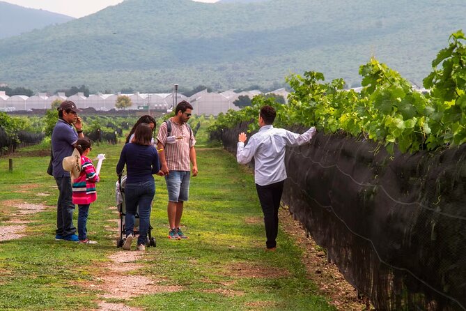 The Cheese and Wine Route - Value and Suitability