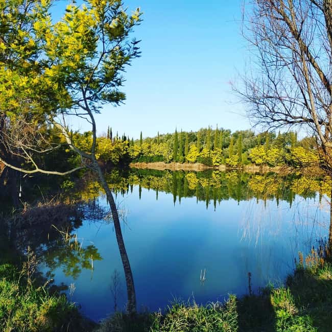 The Chimera d'Albegna: tour and wine tasting. - Discover the Charm of Tuscany with the Chimera dAlbegna Tour and Wine Tasting