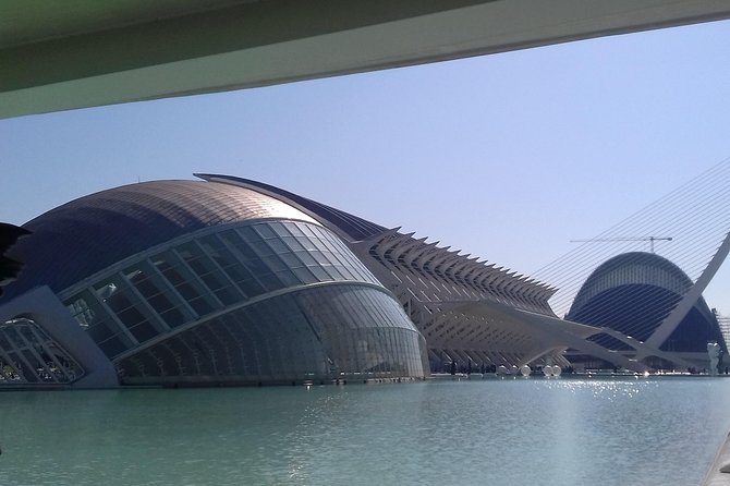 The City of Arts and Sciences in Valencia - The Overall Value of the City of Arts and Sciences Tour