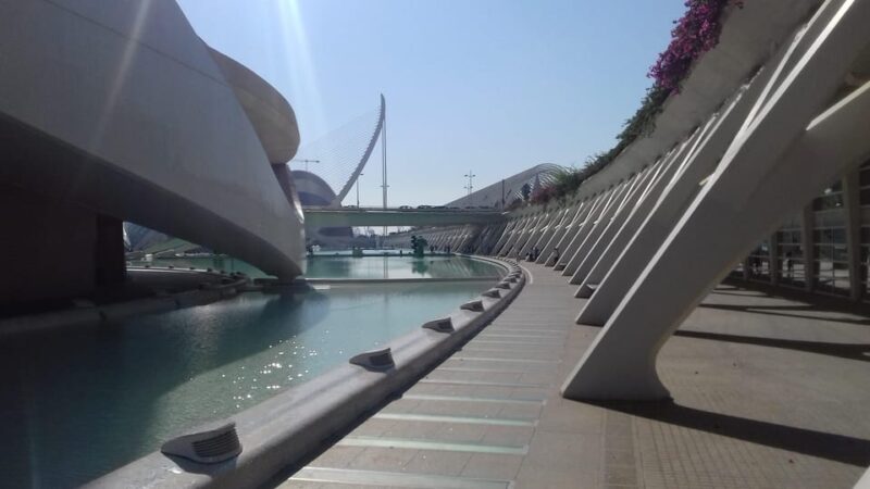 The City of Arts and Sciences in Valencia - Why This Tour Stands Out in Valencia