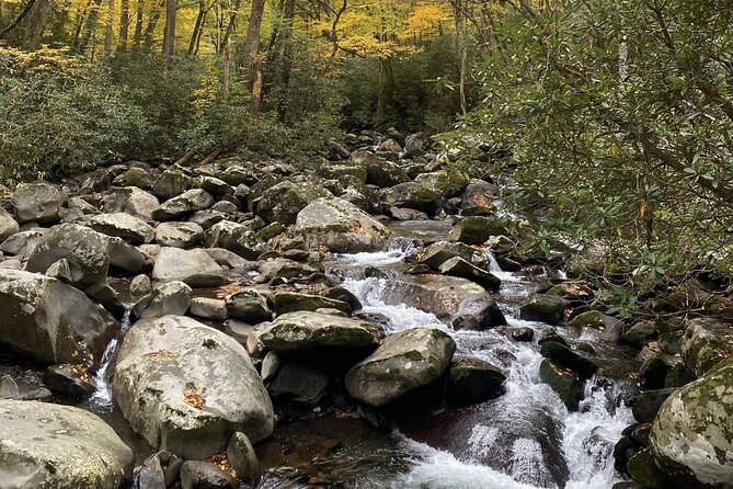 The "Classic" National Park Tour - Standing on the Tennessee-North Carolina Border