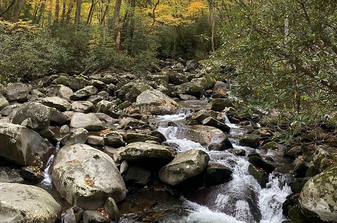 The "Classic" National Park Tour - The Beauty of Newfound Gap Road’s Overlooks
