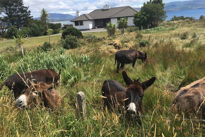 The Cliffs of Moher and Burren National Park Private Tour. - Personalized and Inclusive Experience