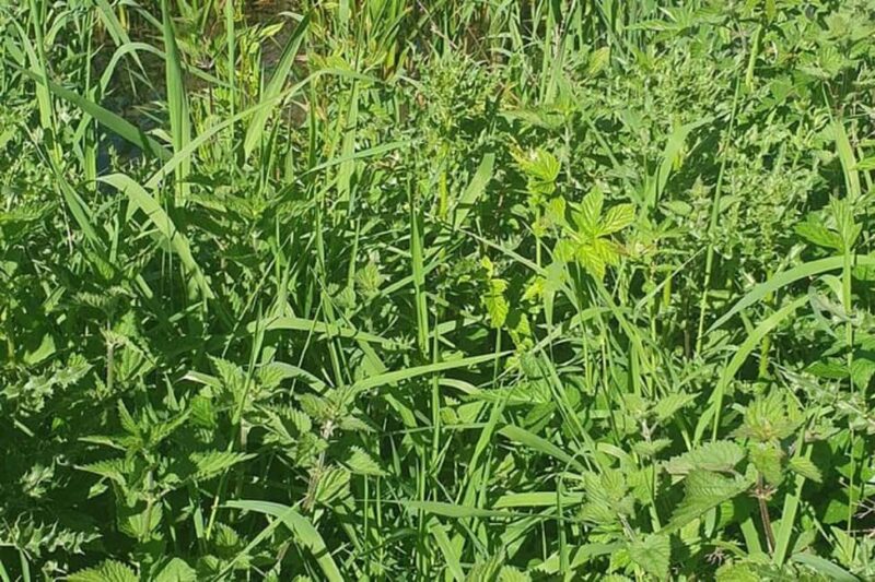 The Cotswolds England Bus Tour - Who Will Appreciate This Tour Most