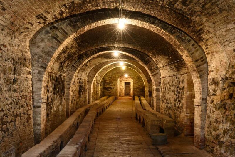 The Count's memories - AGED AND SUPERTUSCAN WINE TASTING IN TORRITA - Discover the Unique Charm of the Counts Memories Tour in Torrita