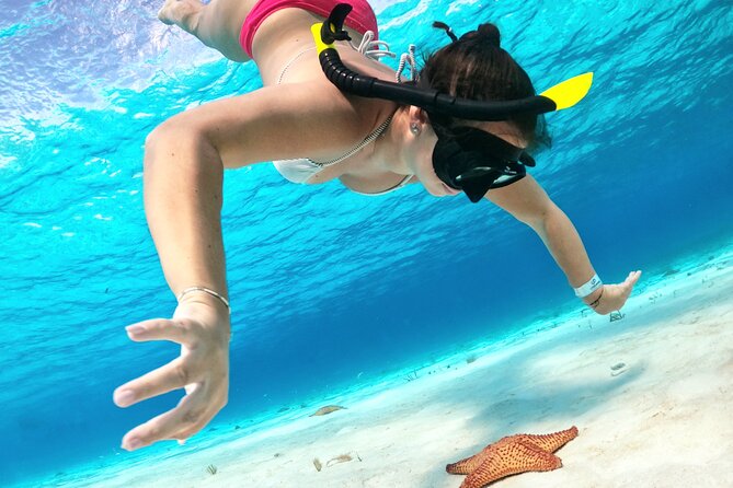 The Cozumel Turtle Sanctuary Snorkel Tour - Snorkel Locations and Marine Life Encounters