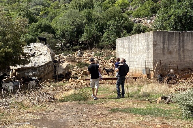 The Cretan Way of Life at the mountains of Rethymno (Mylopotamos) - Authentic Cretan Living in the Mountains of Rethymno for $278.67