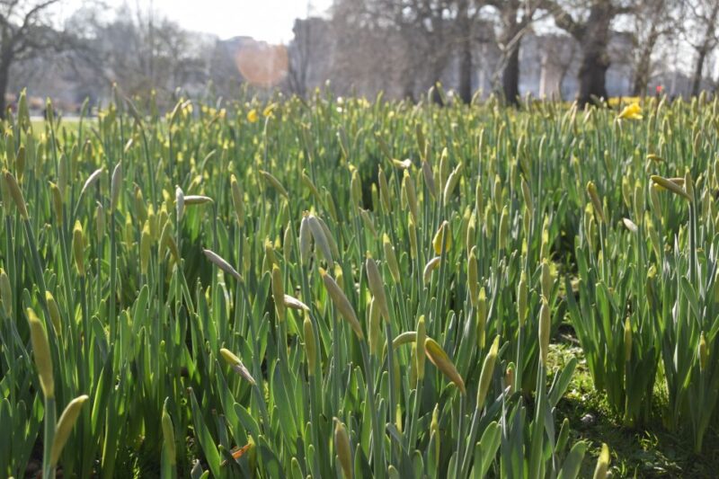 The Crown Walking Tour of London - Final Thoughts on the Crown Walking Tour of London