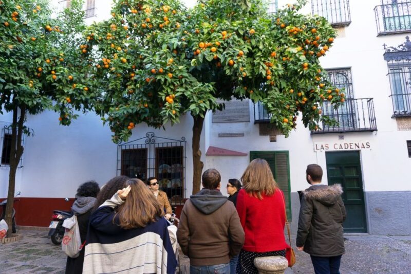 The Cultures of Seville Walking Tour - The Guide Behind the Stories: Emilio’s Expertise