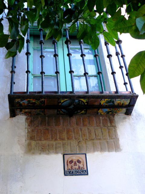 The Cultures of Seville Walking Tour - Who Will Enjoy the Cultures of Seville Walking Tour?