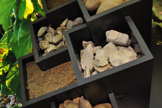 The discovery trail at Maison Brotte - Taste of the 3 Best Wines in a Friendly Setting