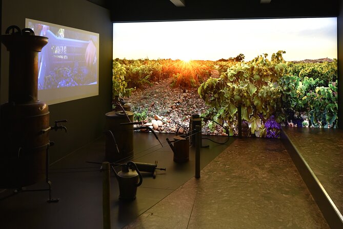 The discovery trail at Maison Brotte - Who Will Appreciate This Tour?