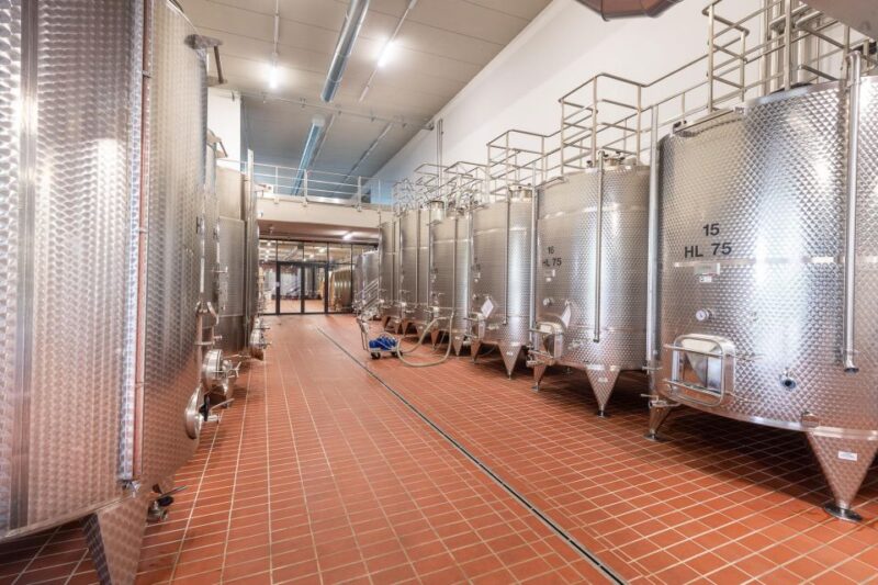 The Dosman: Winetasting in La Morra - Exploring Moscone’s Young and Dynamic Wines