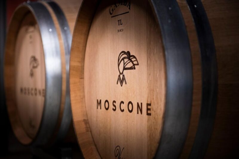 The Dosman: Winetasting in La Morra - Flexibility and Accessibility of the Tour