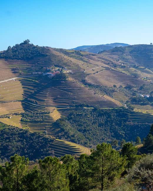 The Douro Valley Tour  Late Start Experience - Authentic Douro Lunch with Wine Pairings