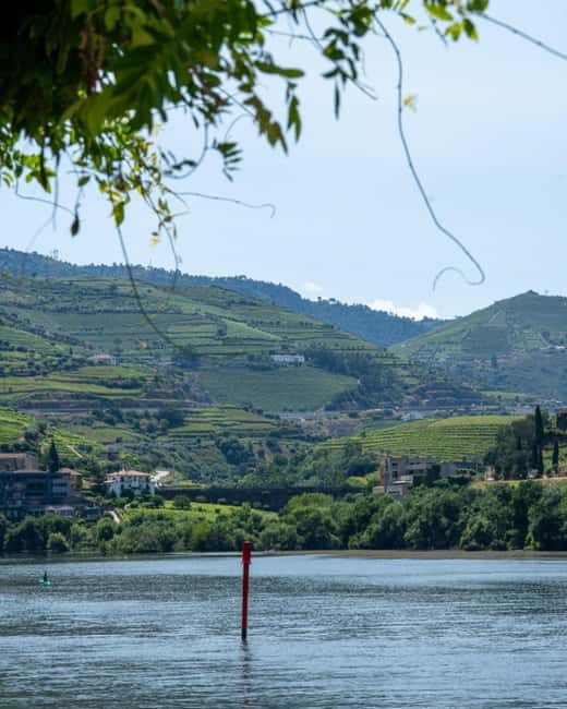 The Douro Valley Tour  Late Start Experience - Exploration and Wine Tasting in Pinhão