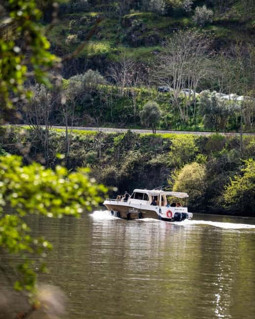 The Douro Valley Tour  Late Start Experience - Practical Aspects and Tour Flexibility